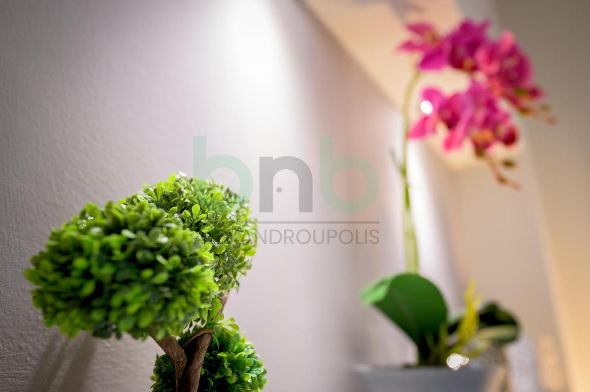 The Floral Suite Александроуполис Экстерьер фото
